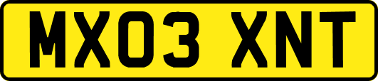 MX03XNT