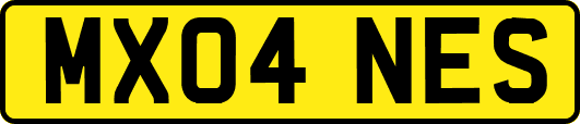 MX04NES