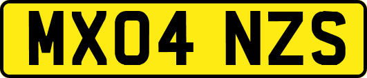 MX04NZS