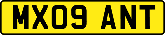 MX09ANT