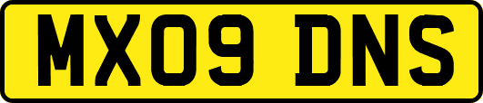 MX09DNS