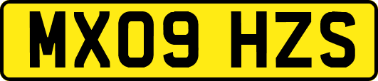 MX09HZS