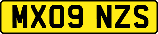 MX09NZS