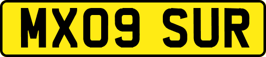 MX09SUR