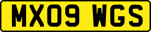 MX09WGS