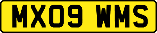 MX09WMS