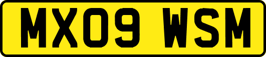 MX09WSM