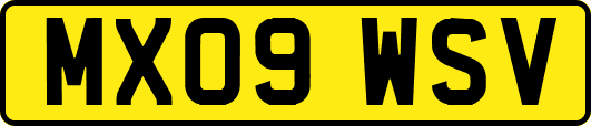 MX09WSV
