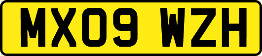 MX09WZH