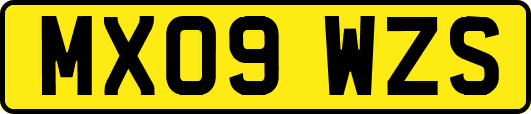 MX09WZS