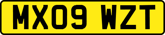 MX09WZT