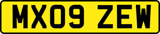 MX09ZEW