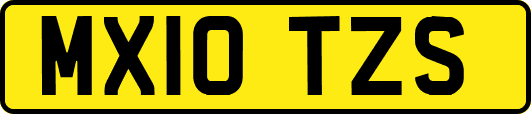 MX10TZS