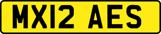 MX12AES