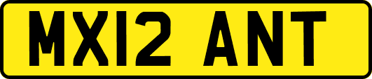 MX12ANT