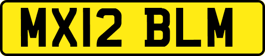 MX12BLM