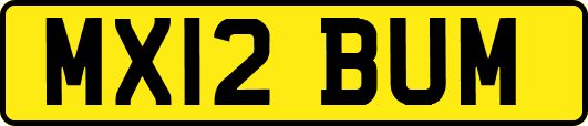 MX12BUM