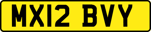 MX12BVY