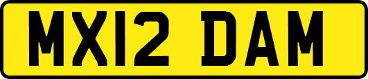 MX12DAM