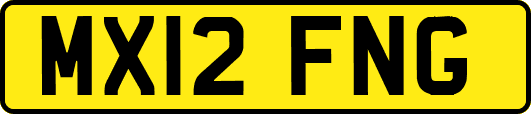 MX12FNG