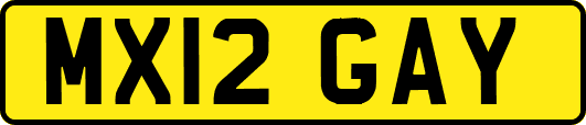 MX12GAY