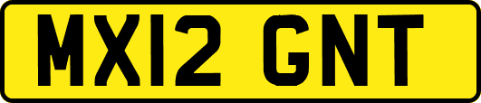 MX12GNT