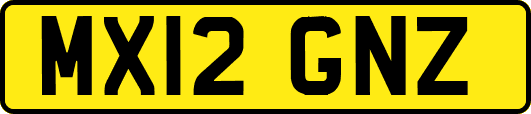 MX12GNZ