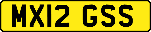 MX12GSS
