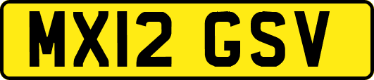 MX12GSV