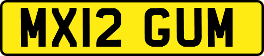 MX12GUM