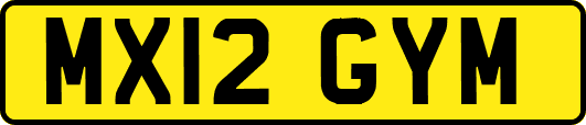 MX12GYM