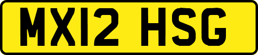 MX12HSG