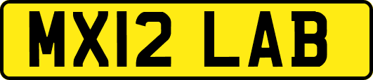 MX12LAB