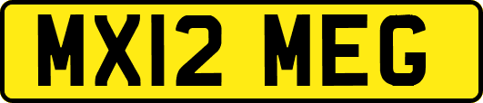 MX12MEG