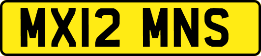 MX12MNS
