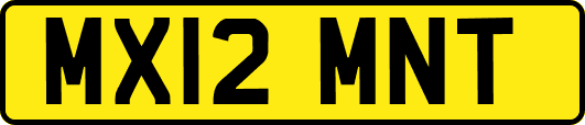 MX12MNT