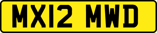 MX12MWD