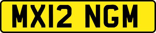 MX12NGM