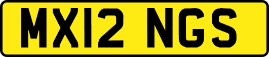 MX12NGS