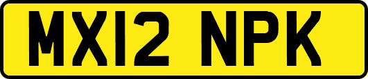 MX12NPK