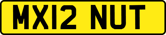 MX12NUT
