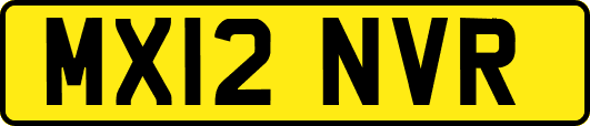 MX12NVR