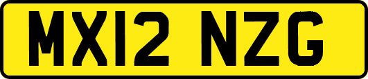 MX12NZG