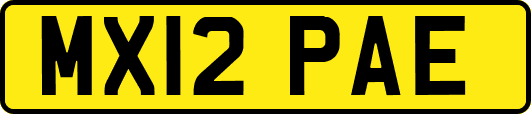 MX12PAE