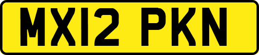 MX12PKN