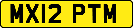 MX12PTM