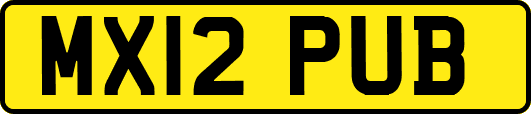 MX12PUB