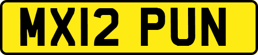 MX12PUN