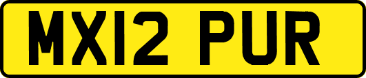 MX12PUR
