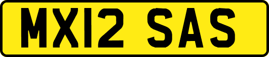 MX12SAS